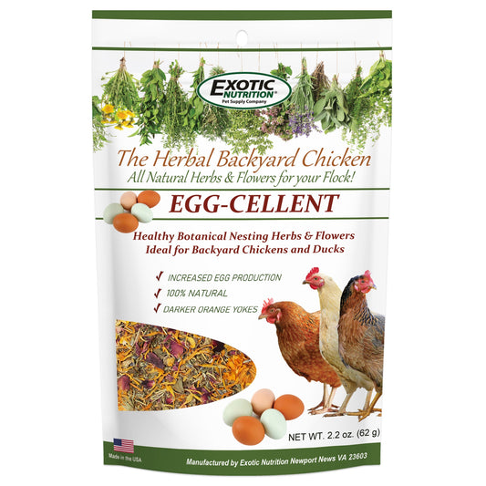 Egg-Cellent Chicken Nesting Herbs Backyard Chicken Treat