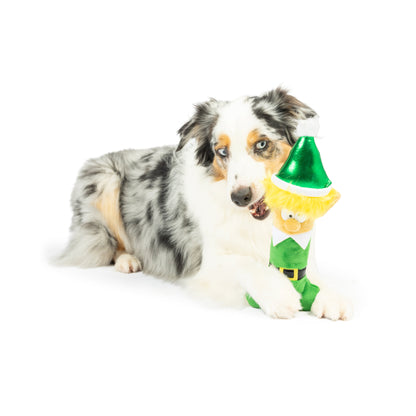 Elfin' Bone Dog Toy