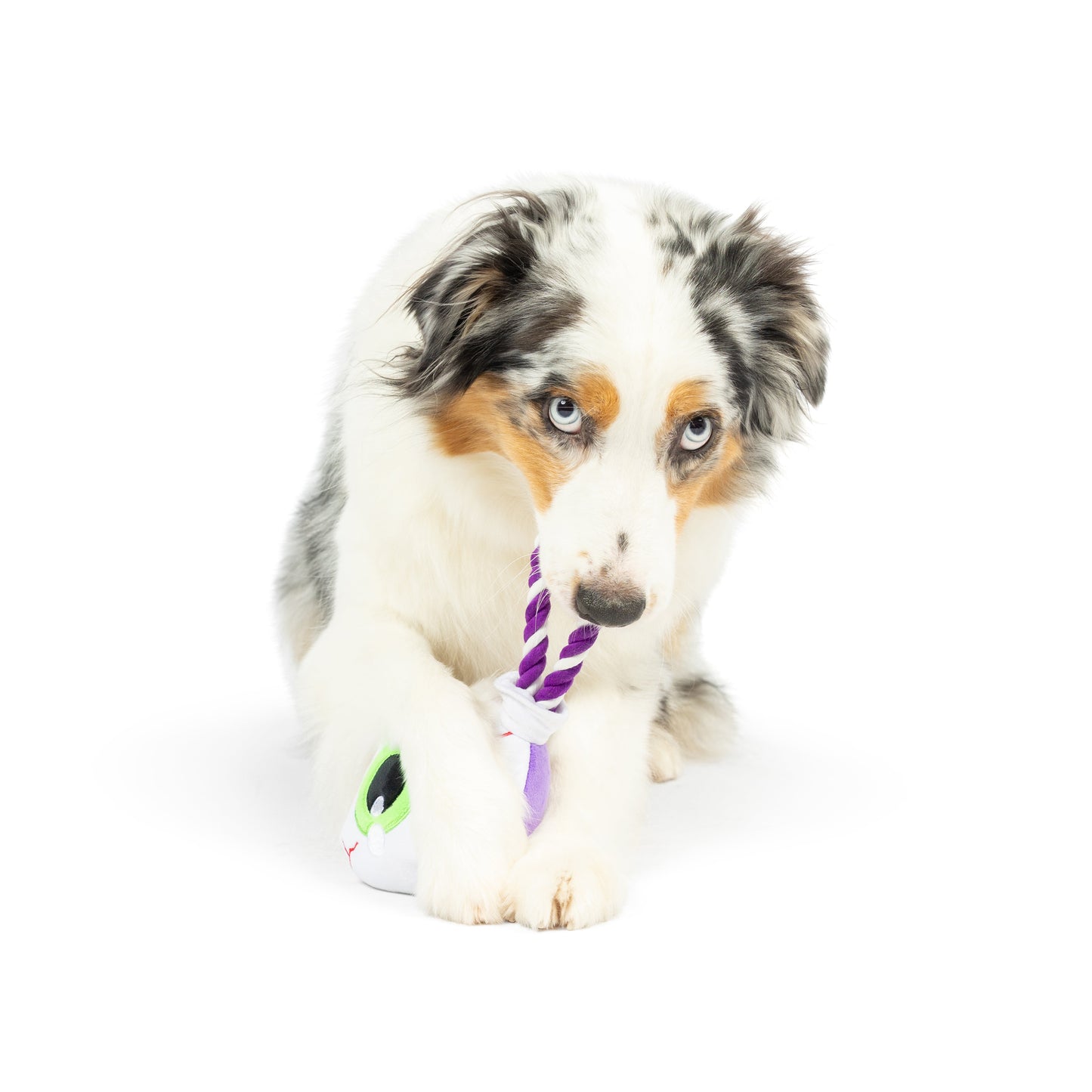 Eyeball Safety Pop Dog Toy