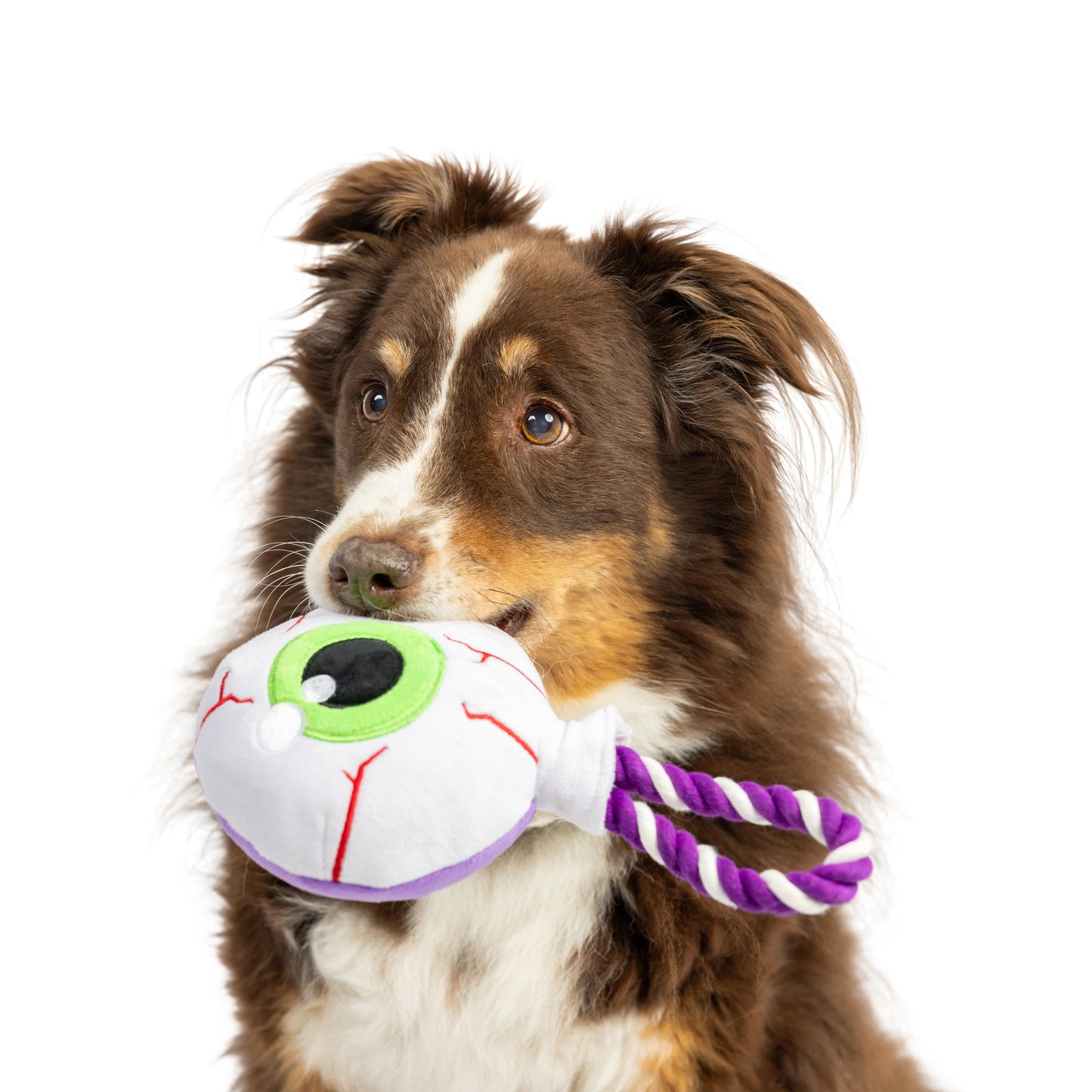 Eyeball Safety Pop Dog Toy