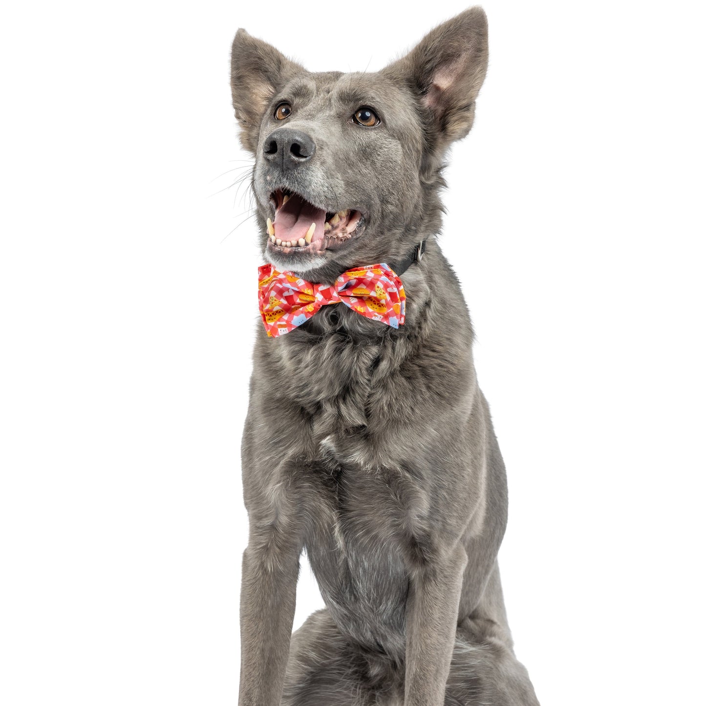 Fast Food Frenzy Bow Tie - 30% Off