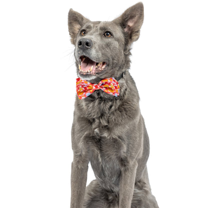Fast Food Frenzy Bow Tie - 30% Off