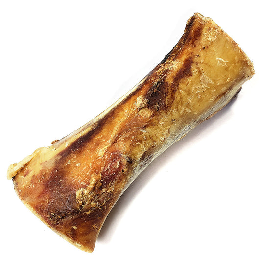 Bison Femur Bone (Shrinkwrapped)- EACH