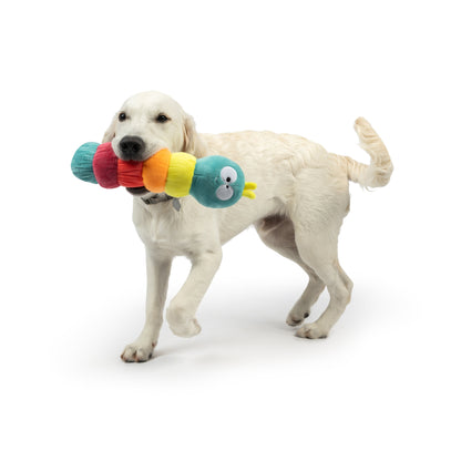 Fetchies® Caterpillar Dog Toy