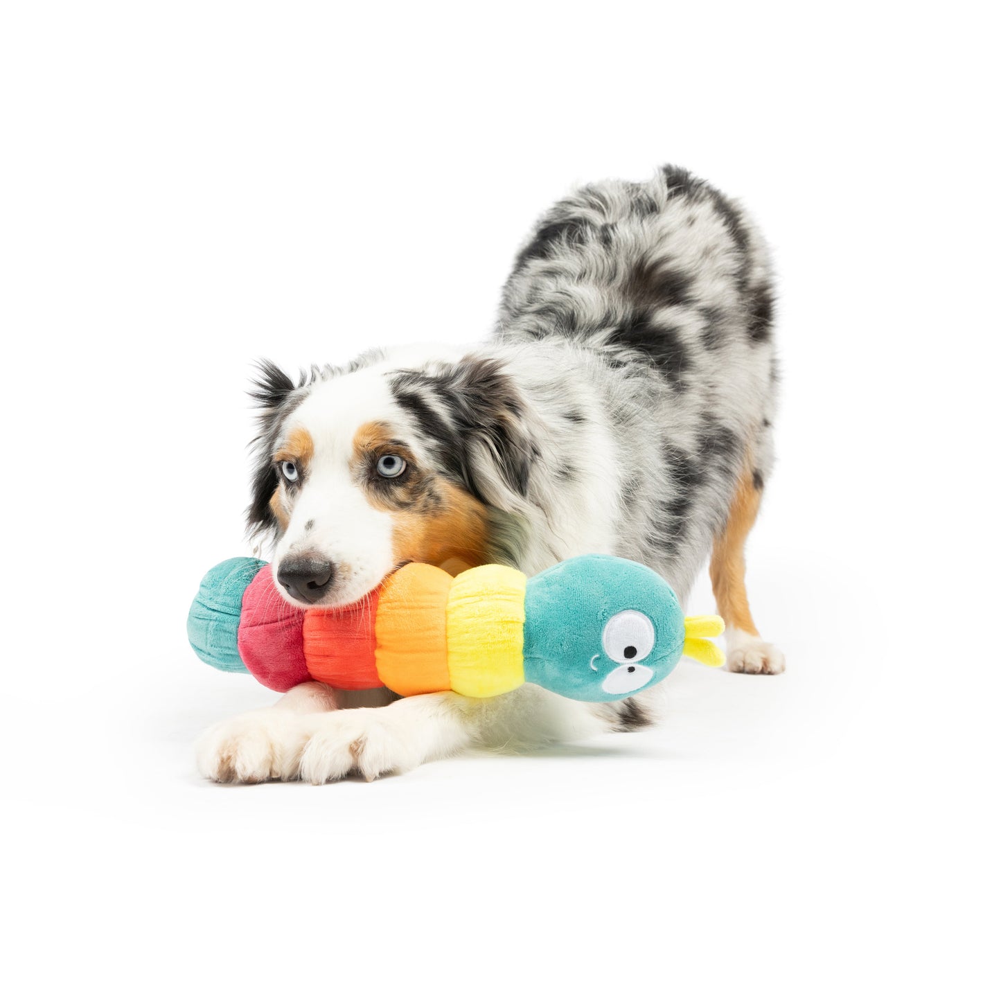 Fetchies® Caterpillar Dog Toy