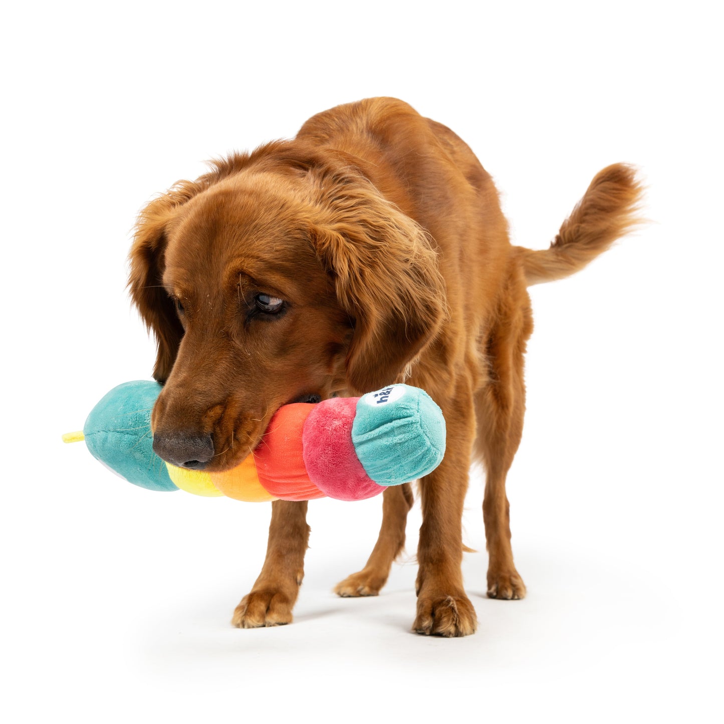 Fetchies® Caterpillar Dog Toy