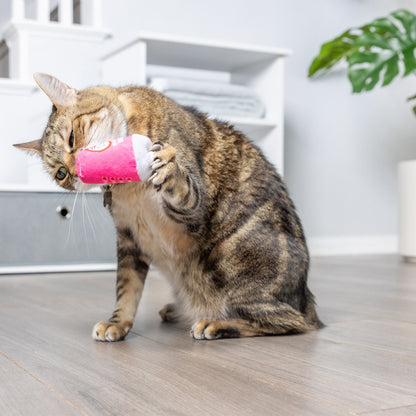 First Lick Heart & Be Mine Coffee 2pk Cat Toy