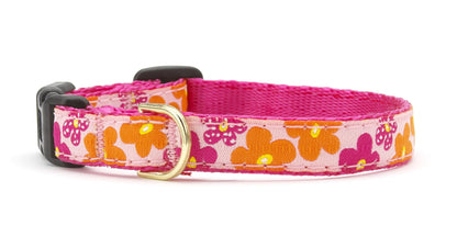 Flower Power Small Breed Dog Collar