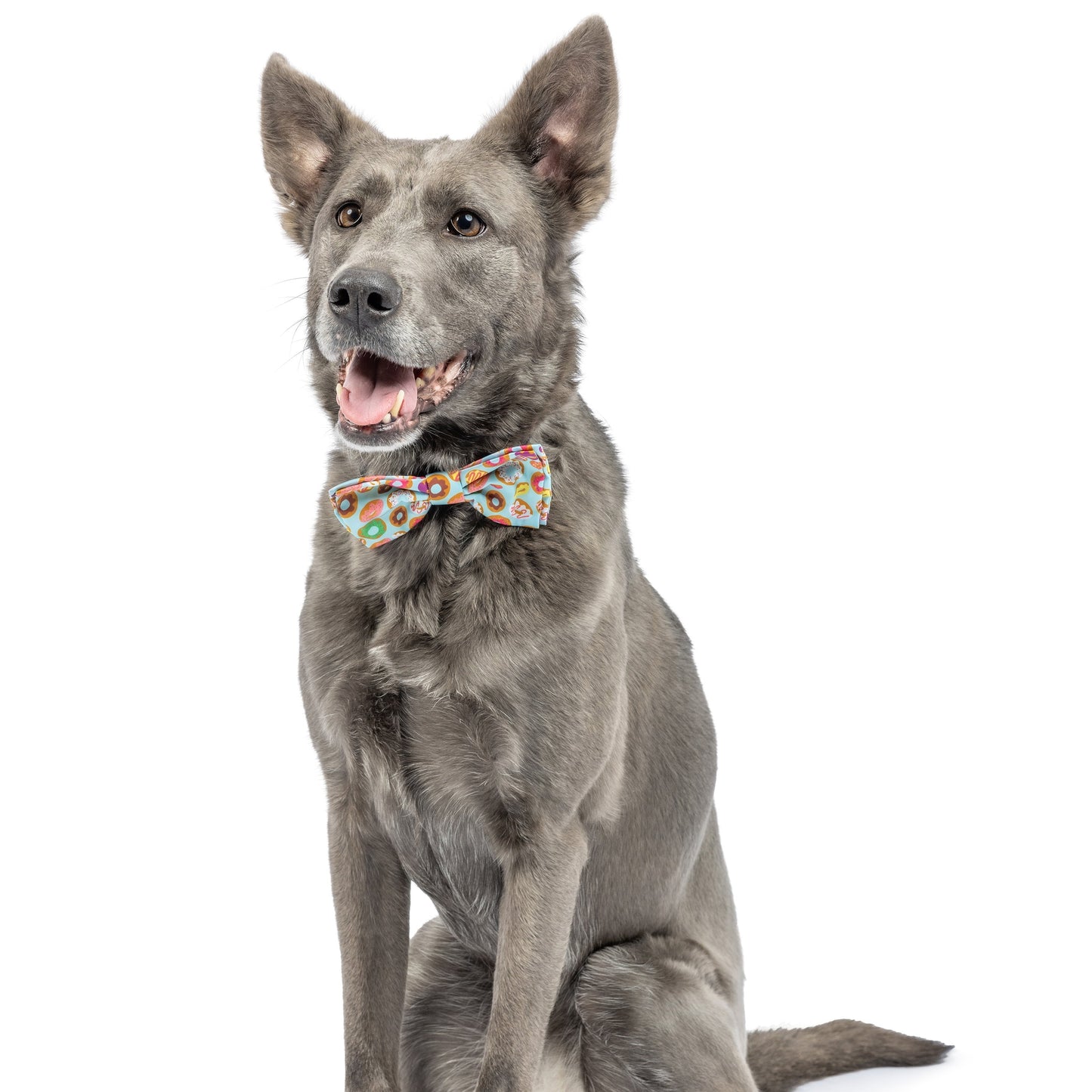Fresh Donuts Bow Tie