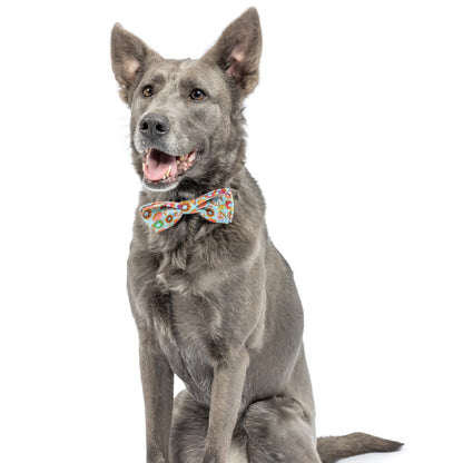 Fresh Donuts Bow Tie