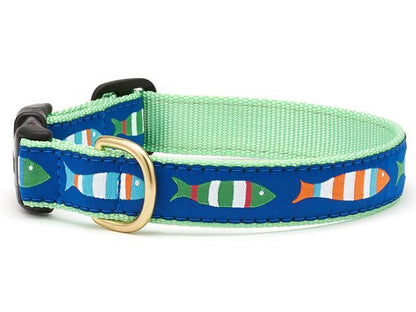 Funky Fish Dog Collar