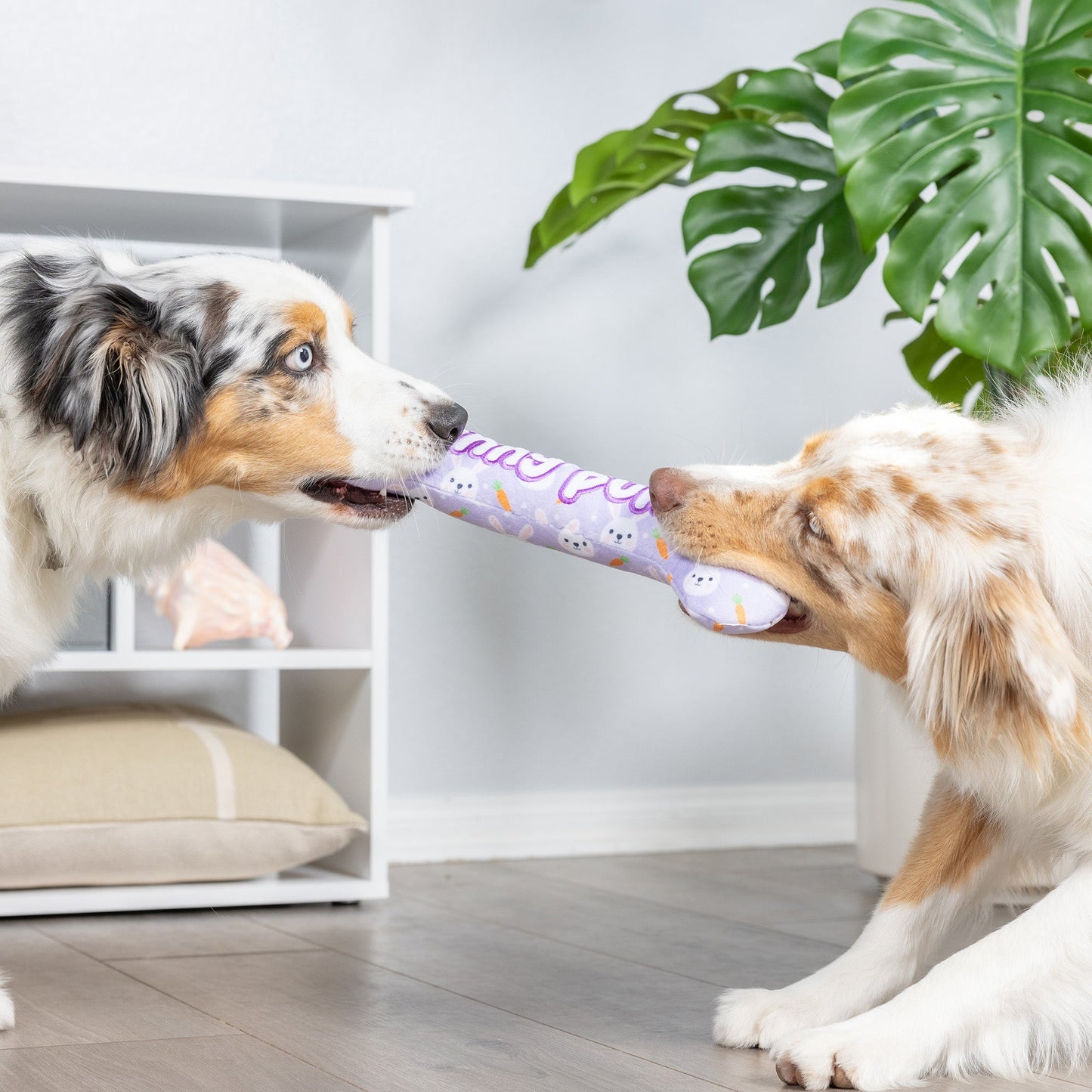 Funny Bunny Bone Dog Toy