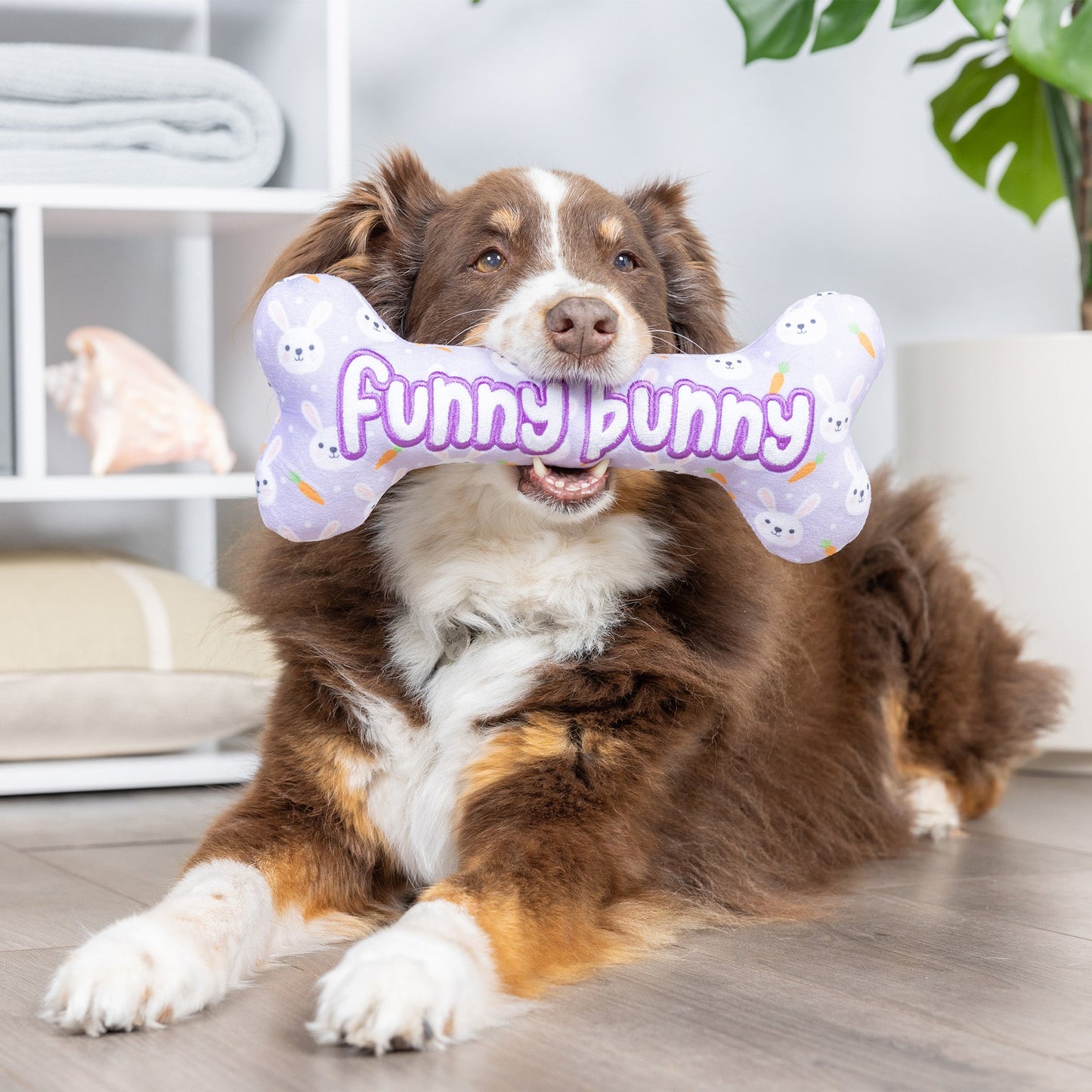 Funny Bunny Bone Dog Toy