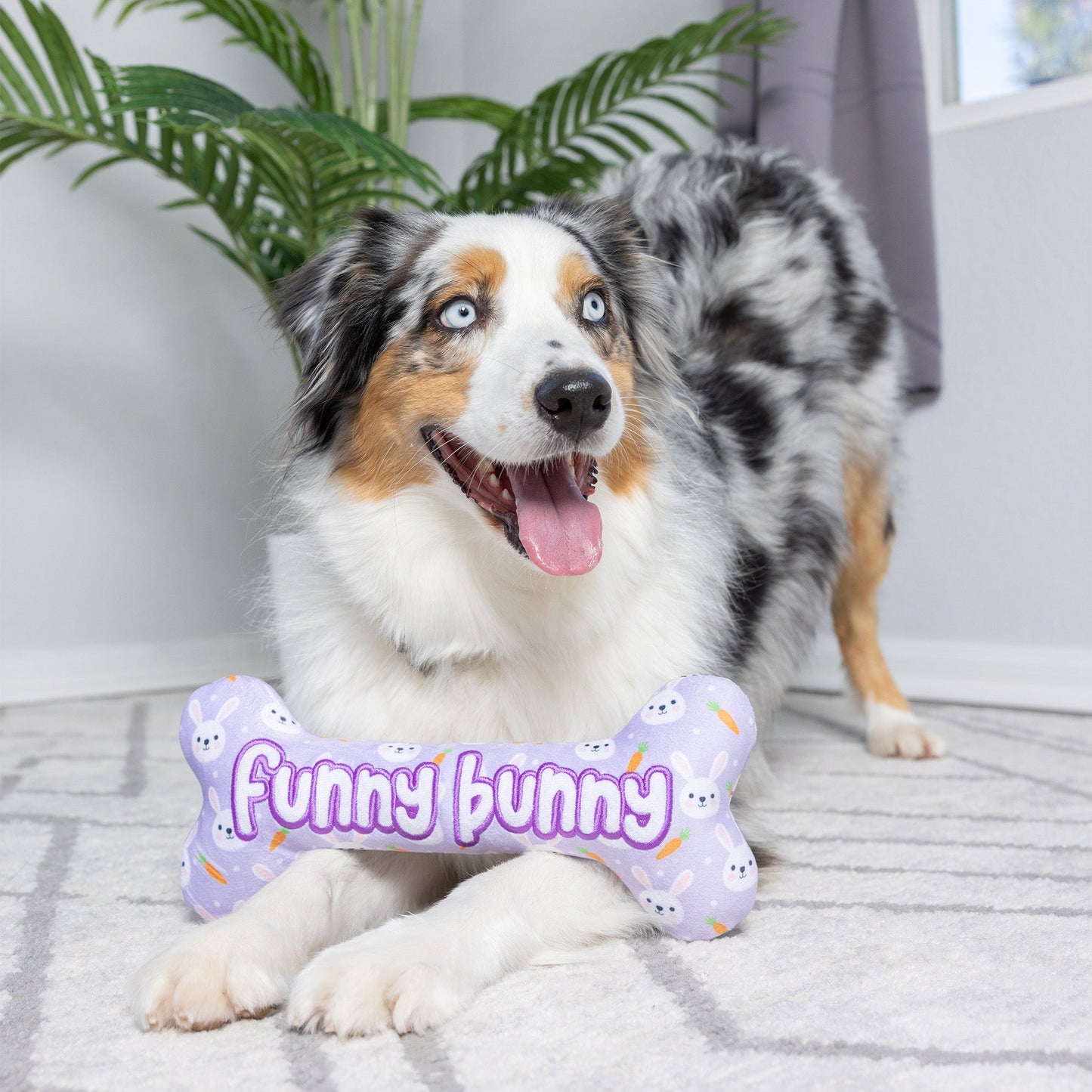 Funny Bunny Bone Dog Toy
