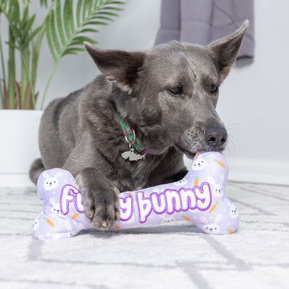 Funny Bunny Bone Dog Toy