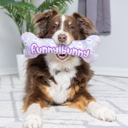 Funny Bunny Bone Dog Toy