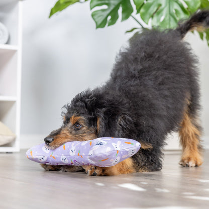 Funny Bunny Bone Dog Toy