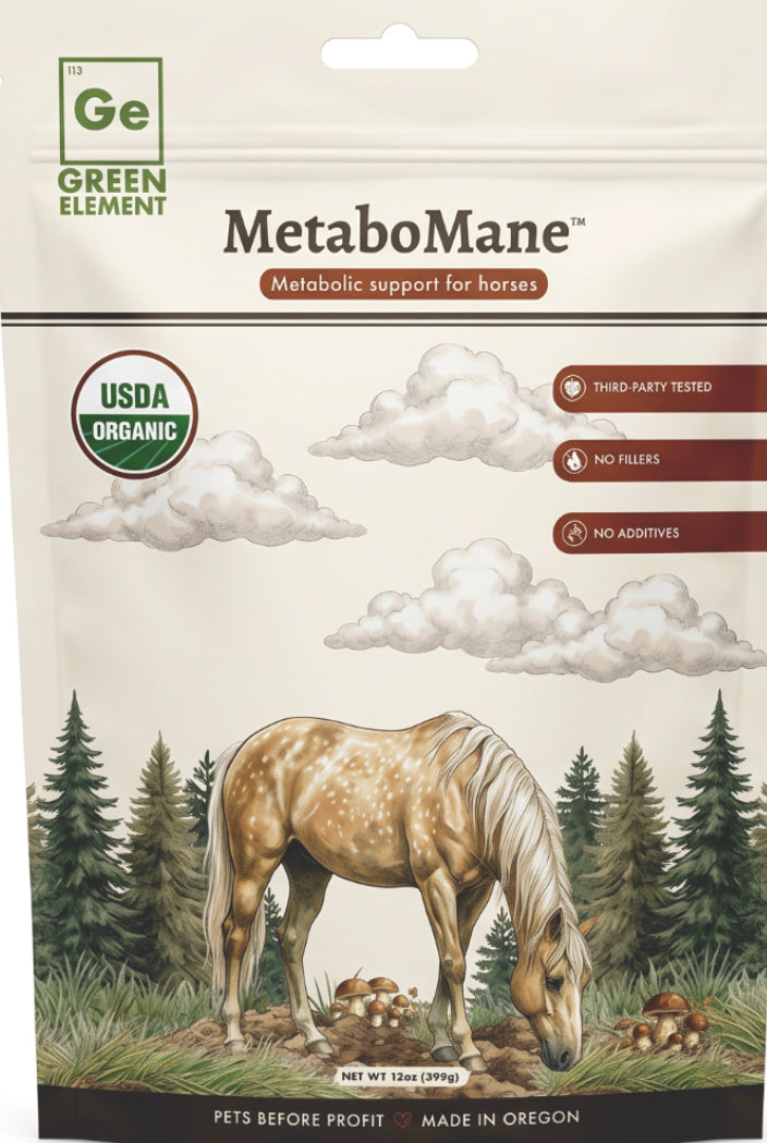 MetaboMane Mushroom Blend, USDA Organic- 16oz Pouch