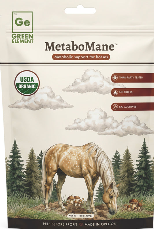 MetaboMane Mushroom Blend, USDA Organic- 16oz Pouch