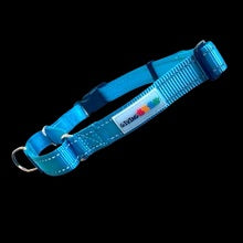 Giving Paws Martingale Dog Collar with Buckle in blue
