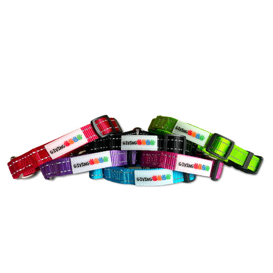 Martingale Dog Collar w/ Buckle