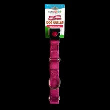 Giving Paws Martingale Dog Collar with Buckle in pink