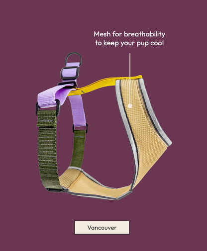 Featherweight Air Harness