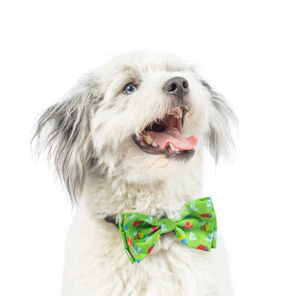 Garden Party Bow Tie
