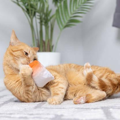 Go Fish Phishy Cat Toy
