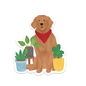 Golden Retriever and Plants Sticker