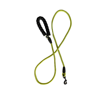 4' Rope Leash