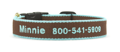 Color Market Dog Collar - Small Breed
