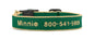Color Market Dog Collar - Small Breed