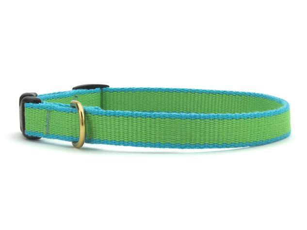 Color Market Dog Collar - Small Breed