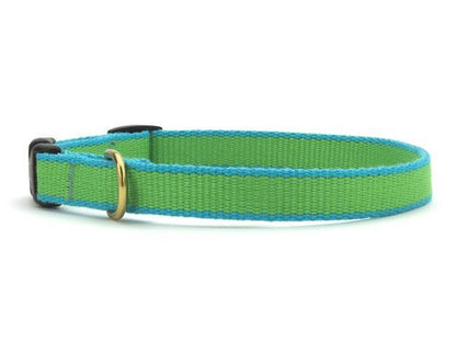 Color Market Dog Collar - Small Breed