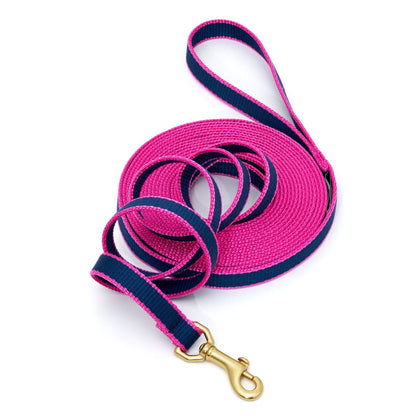 Green Market Dog and Puppy Training Lead