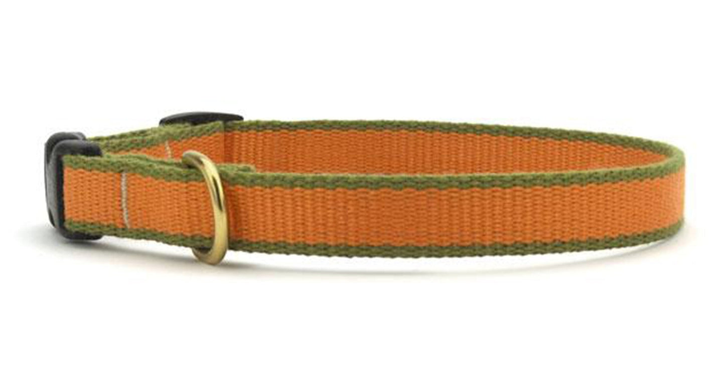 Color Market Dog Collar - Small Breed