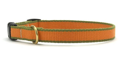 Color Market Dog Collar - Small Breed