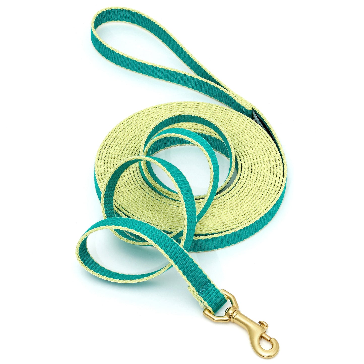 Green Market Dog and Puppy Training Lead