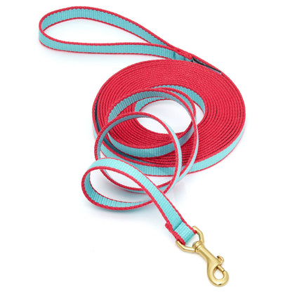 Green Market Dog and Puppy Training Lead