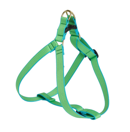 Color Market Dog Harness