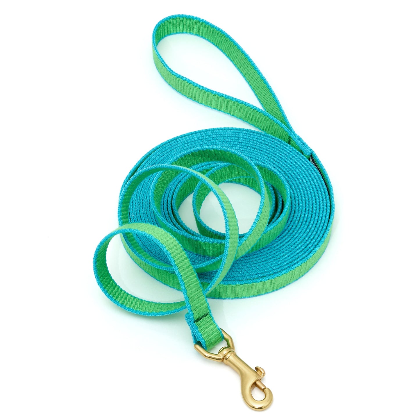 Green Market Dog and Puppy Training Lead