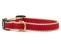 Color Market Dog Collar - Small Breed