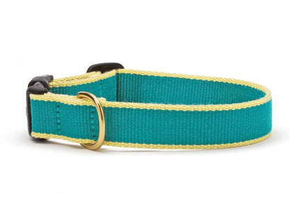 Color Market Dog Collar - Wide