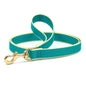 Color Market Dog Lead