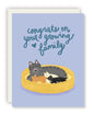 Growing Family Card (Pack of 6)
