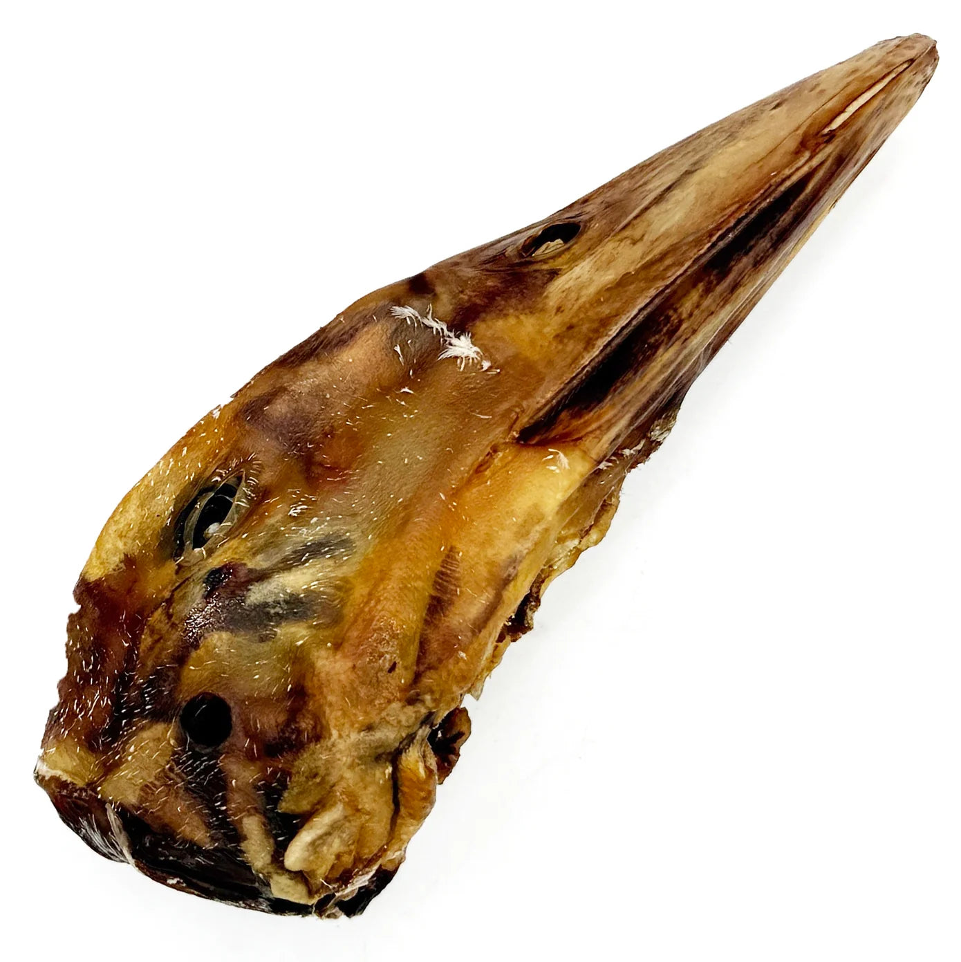 Duck Heads - Case of 10 Bulk