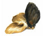 HAIRY COW EARS -PACK OF 10