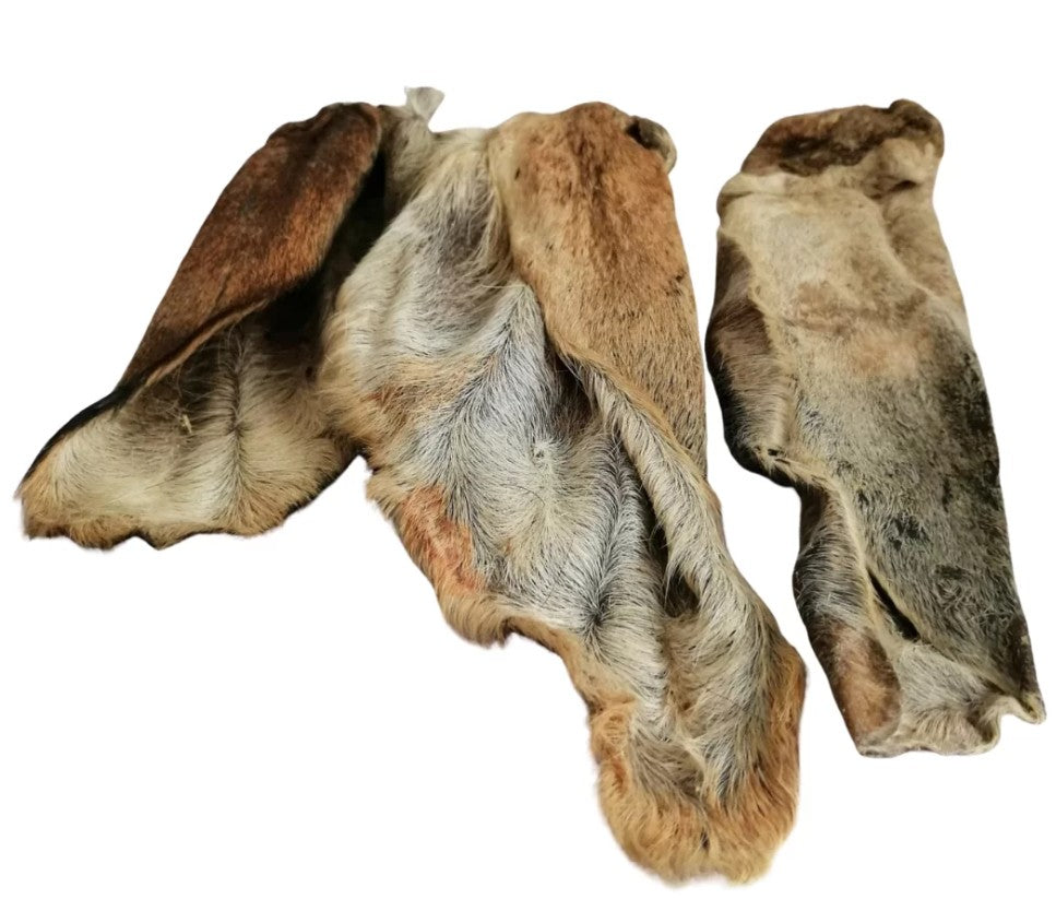 HAIRY GOAT EARS 6 INCH-PACK OF 10
