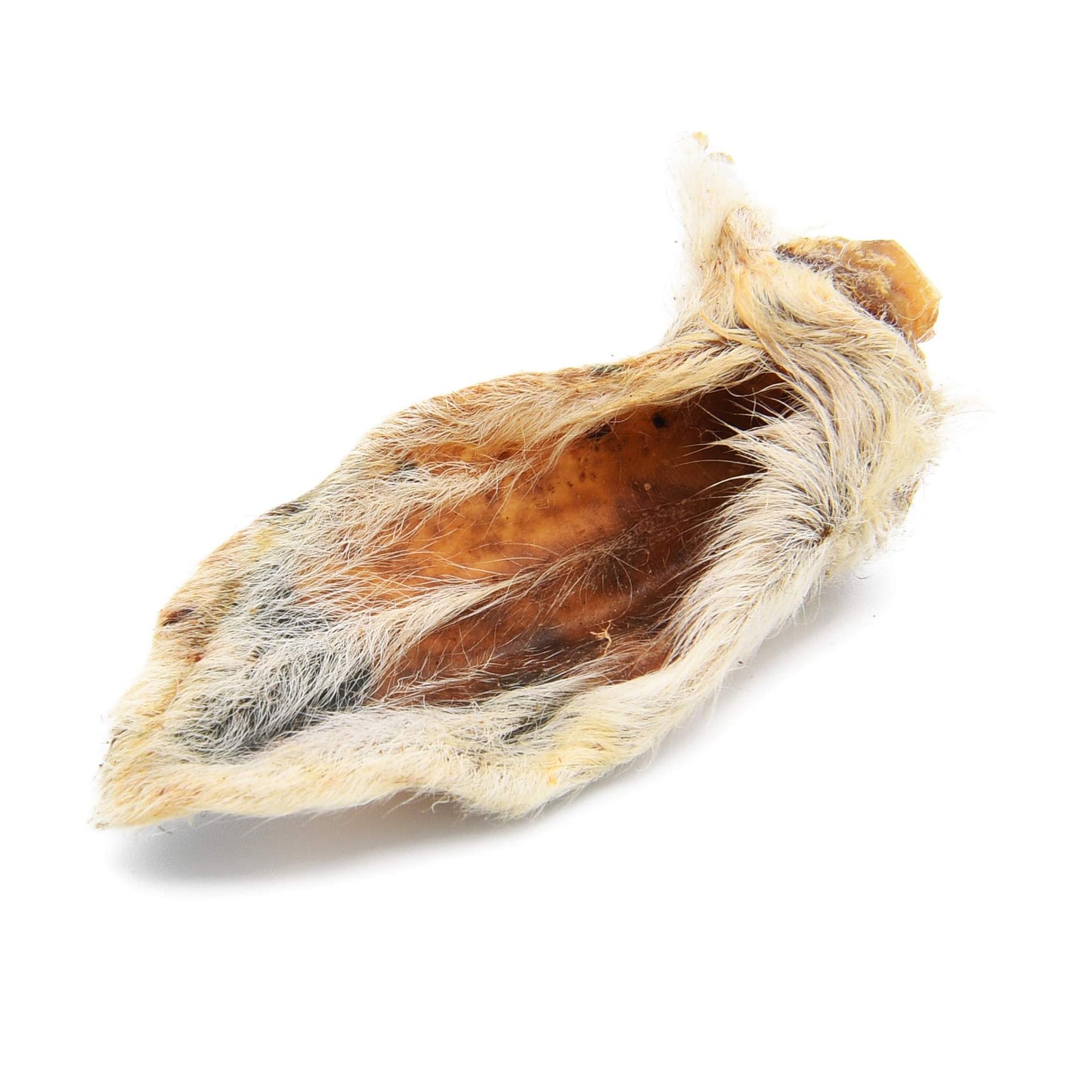 HAIRY LAMB EARS -PACK OF 10